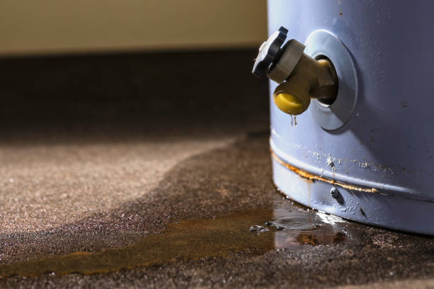 Reliable Cloverdale, IN Water damage restoration Solutions
