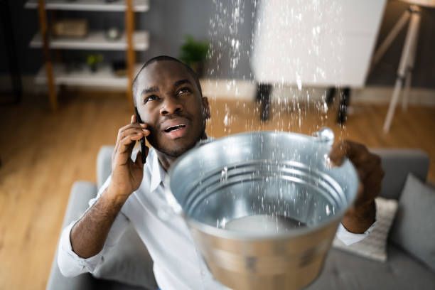 Best Water damage contractors near me  in Cloverdale, IN