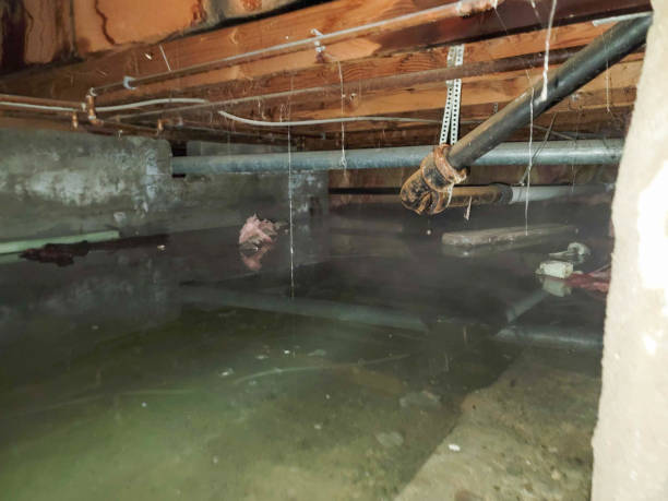 Best Ceiling water damage repair  in Cloverdale, IN