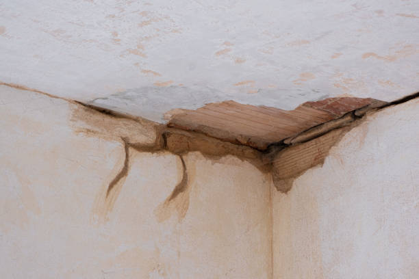 Best Commercial water damage restoration  in Cloverdale, IN