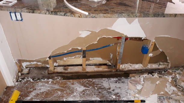 Best Flood damage cleanup  in Cloverdale, IN