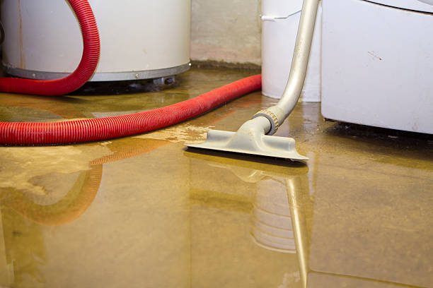Best Fire Damage Restoration  in Cloverdale, IN