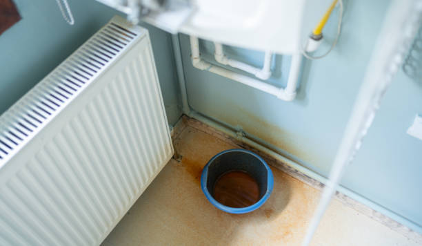 Best Sewage cleanup and water damage restoration  in Cloverdale, IN
