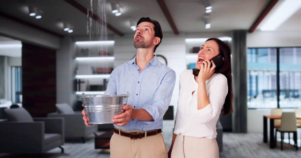 Best Flood restoration services  in Cloverdale, IN