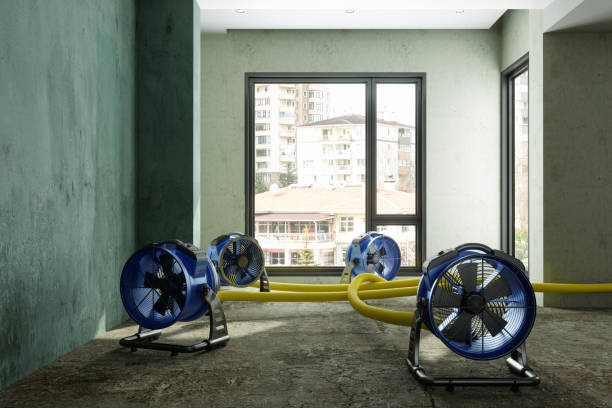 Best Professional water damage repair  in Cloverdale, IN